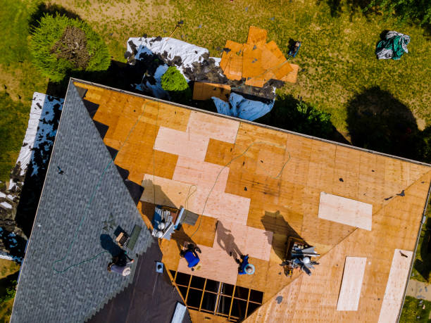 Best Flat Roof Repair Services  in Hollis, OK