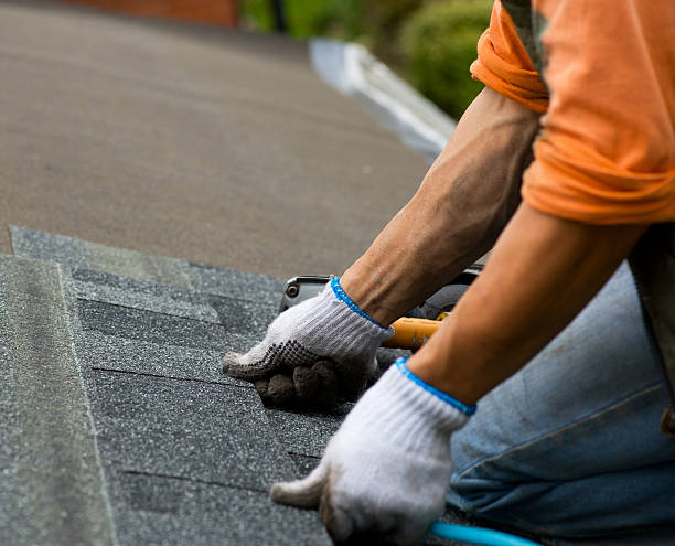 Best Local Roofing Companies  in Hollis, OK