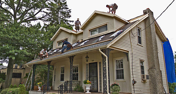 Best Commercial Roofing Services  in Hollis, OK