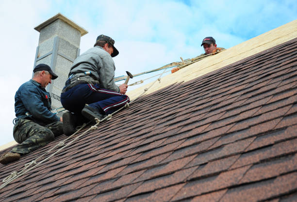 Best New Roof Installation  in Hollis, OK
