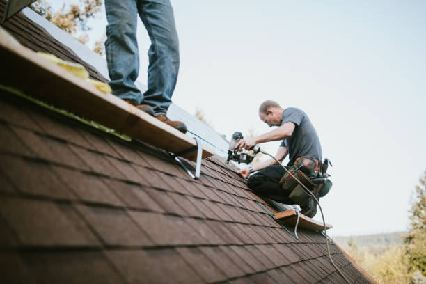 Professional Roofing Contractor in Hollis, OK